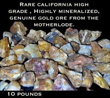 10LB HIGH GRADE HIGHLY MINERALIZED GOLD ORE W/VISIBLE GOLD FROM THE MOTHERLODE picture