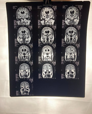 MRI CT Brain Scans X-Rays Medical Skull Prop Halloween Lot of 10 (A2) picture