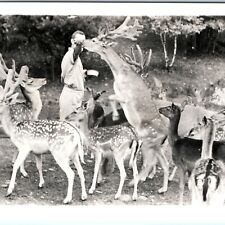 c1940s Catskill, NY Zoo RPPC Game Farm Feed Deer Photo Postcard Lindemann A100 picture