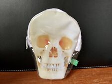 Science Techni Colour Human Skull Coin Case Pouch 5” Rare Japan Novelty Toy F/S picture