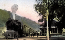 C.1910 TRAIN DEPOT PAGE, WEST VIRGINIA COAL LOGGING RAILWAY FAYETTE Postcard PS picture