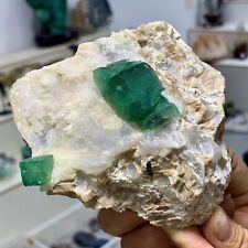 458G Rare transparent GREEN cubic fluorite mineral crystal sample/China picture