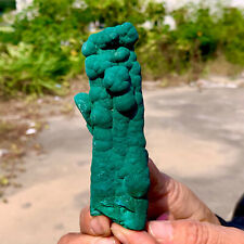 160G  Natural glossy Malachite transparent cluster rough mineral sample picture