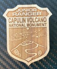 CAPULIN VOLCANO Wood National Monument Park Junior Ranger Badge New Mexico picture