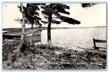 1941 Scene Island Lake Exterior View Detroit Lakes Minnesota MN Vintage Postcard picture