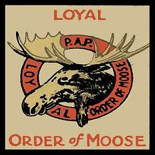 Loyal Order Of The Moose Fridge Magnet picture