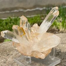 306g Natural Clear White Quartz Crystal Cluster Rough Specimen Healing picture