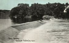 Vintage Postcard The Dam Picturesque Water View Cedar Falls Iowa IA picture
