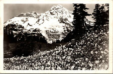 Vtg 1940s Wild Flowers and the Mountain Rainier National Park WA RPPC Postcard picture
