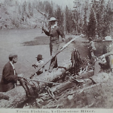 Trout Fishing Yellowstone River Steroeview c1885 Fishermen Park Antique WY A1125 picture
