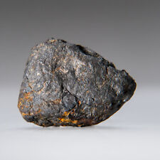 Genuine Canyon Diablo Iron Meteorite (47.4 grams) picture