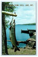 c1950s Giant Fish Caught Greetings from Shell Lake Wisconsin WI Postcard picture