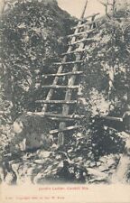 CATSKILL MOUNTAINS NY - Jacob's Ladder Postcard picture