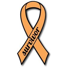 Orange Leukemia and Kidney Cancer Survivor Ribbon Car Magnet Decal Heavy Duty picture