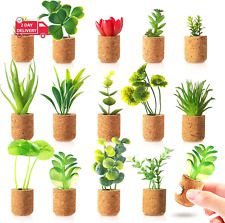 Plant Fridge Magnets-Mini Succulent Artificial Plants Refrigerator Magnets Potte picture