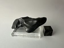 48.1g Sikhote Alin Witnessed Fall Meteorite From Russia picture