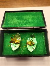 Vintage Boxed Chinese Fighting Crickets Very Nice Silk Box picture