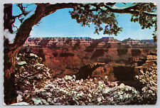 Postcard Grand Canyon National Park Arizona 1971 (641) picture