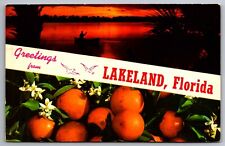 Postcard  Greetings from Lakeland Florida   G 8 picture
