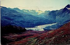 Vtg View from Richardson Highway Lowe River Alaska AK 1960s Postcard picture