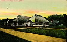 Postcard Central park, greenhouses New York City, New York picture