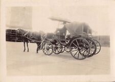 Old Photo Snapshot Man Riding On Horse Carriage #28 Z23 picture