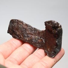 100g  Muonionalusta meteorite part slice C7382 picture