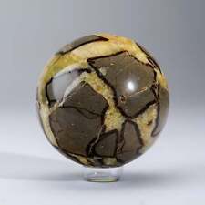 Polished Septarian Sphere from Madagascar (3.3 lbs) picture