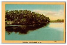 c1940 Greetings From Fillmore Lake River Trees Swamp New York Vintage Postcard picture