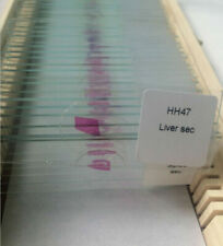 100PCS Medical Study Prepared Histological Slides Human Histology Slides Set picture