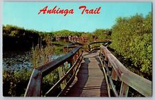 Florida - Anhinga Trail - Everglades National Park - Vintage Postcard - Unposted picture