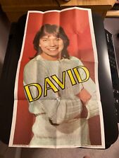 1971 The Partridge Family Poster David Cassidy Mint Poster  20/24 lllll picture