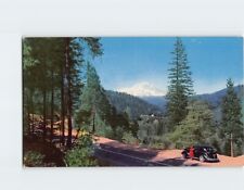 Postcard Mt. Shasta California USA picture