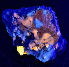 316 GM Top Fluorescent  Sodalite Crystal With Marialite Scapolite On Matrix AFG picture