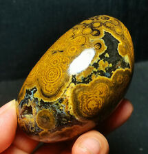 Rare 221G Natural Inner Mongolia Gobi Eye Agate Geode Collection Healing WYY1474 picture