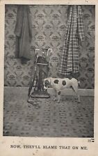 Vintage Postcard Funny DOG Water Spot Blame Posted 1908 OHIO - PA picture