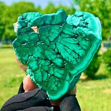 168G   Rare Natural Malachite quartz hand Carved Droplet-shape Crystal Healing picture