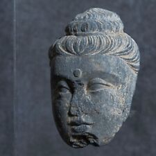 Indian Antique Buddhist Gandhara Schist Head of Buddha 3rd-5th Century AD picture