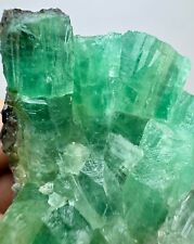 512 Carat Extremely Rare Transparent Green Emerald crystals Bunch On Matrix @PAK picture