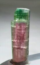Beautiful Watermelon Tourmaline Spray Shape Crystal. N picture