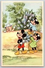 Mickey Mouse Early Postcard c1940's Scarce w/ Porky / Fiddler Pig? picture