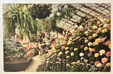 Lincoln Park Conservatory. Chicago Illinois Vintage Postcard. IL picture