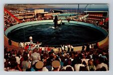 Marineland CA-California Whale Show Whale Pool Stadium Vintage Souvenir Postcard picture