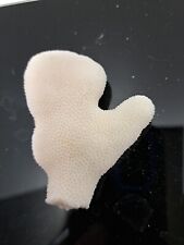 Natural Real Coral White Reef Aquarium  Decor Coral home decoration Mitten Shape picture