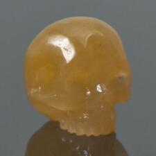 Human Skull Natural Agatized Fossil Coral Guru Bead 13.17 mm Carving 2.73 g picture
