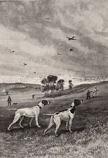 Dog Pointers Pointing at the Start of the Hunt, Large 1880s Antique Print picture