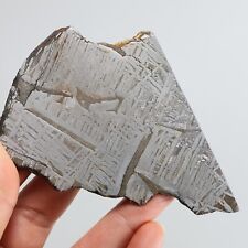 309g Iron meteorite, Muonionalusta iron meteorite slice, Natural Meteorite J119 picture