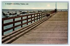c1910 Scenic View Seagull Convention Venice California Antique Vintage Postcard picture