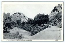 c1920 On The Patagonia Highways Near Exterior Road Nogales Arizona AZ Postcard picture