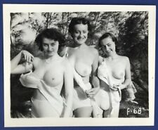 Happy Thick Females 1950 Frisky Flirty 5x4 Big Boobs Outdoor Vintage Nude Q8324 picture